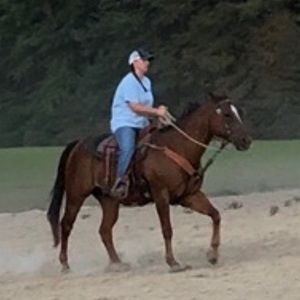 Meet your Posher, Lacey